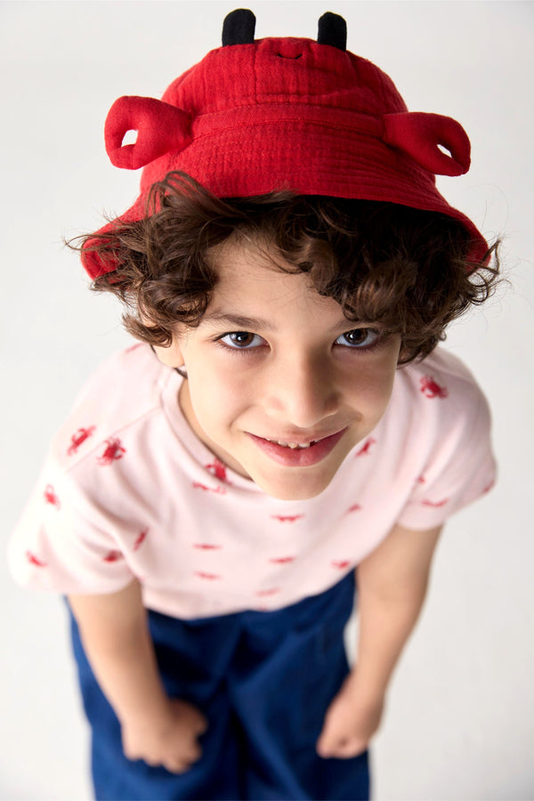 Crab Hat