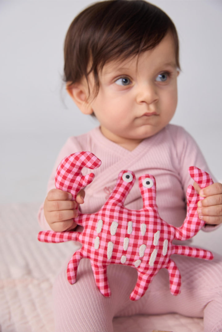 Crab Sensory Toy