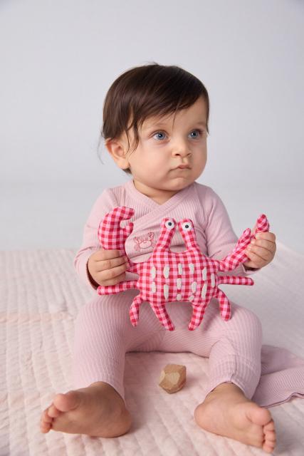 Crab Sensory Toy