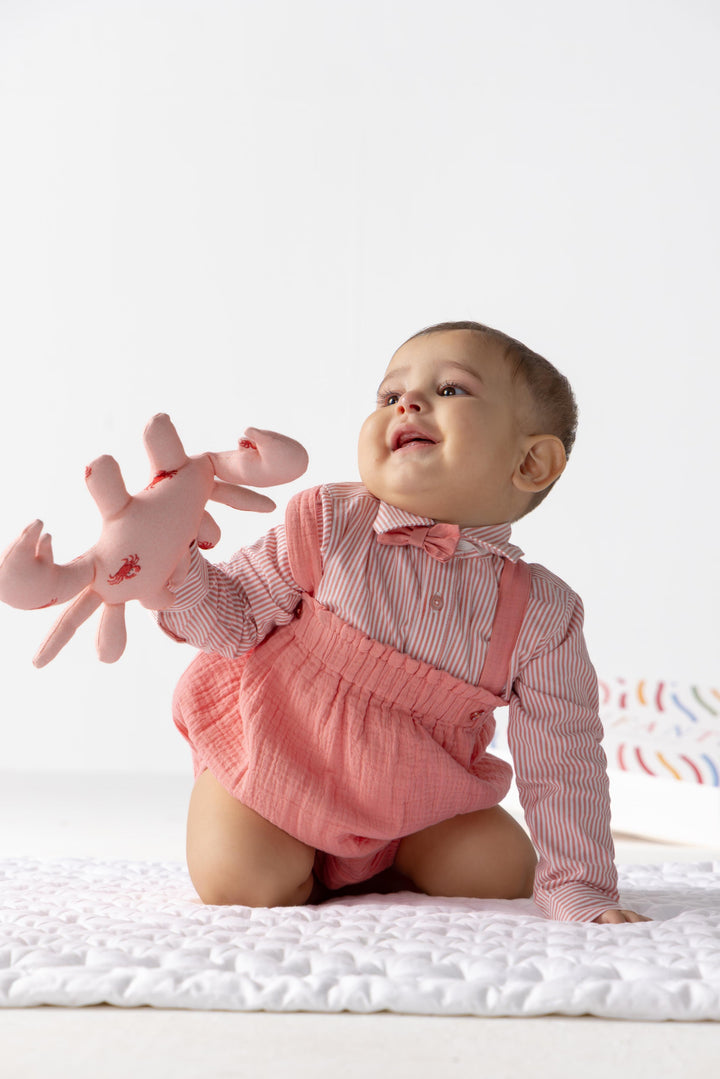 Crab Sensory Toy