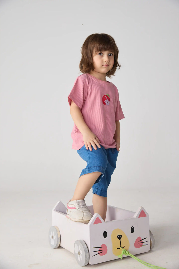 Little Friend Tee &amp; Candy Stripe Tee set of 2
